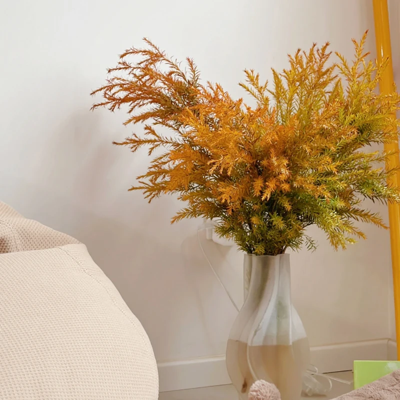 【云舍花卉】千层金2-4支 一单包邮