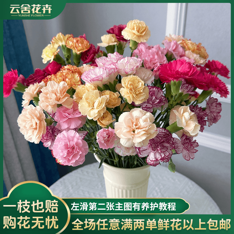 【云舍花卉】混色【多头】康乃馨全场任意满两单及以上鲜花包邮发货