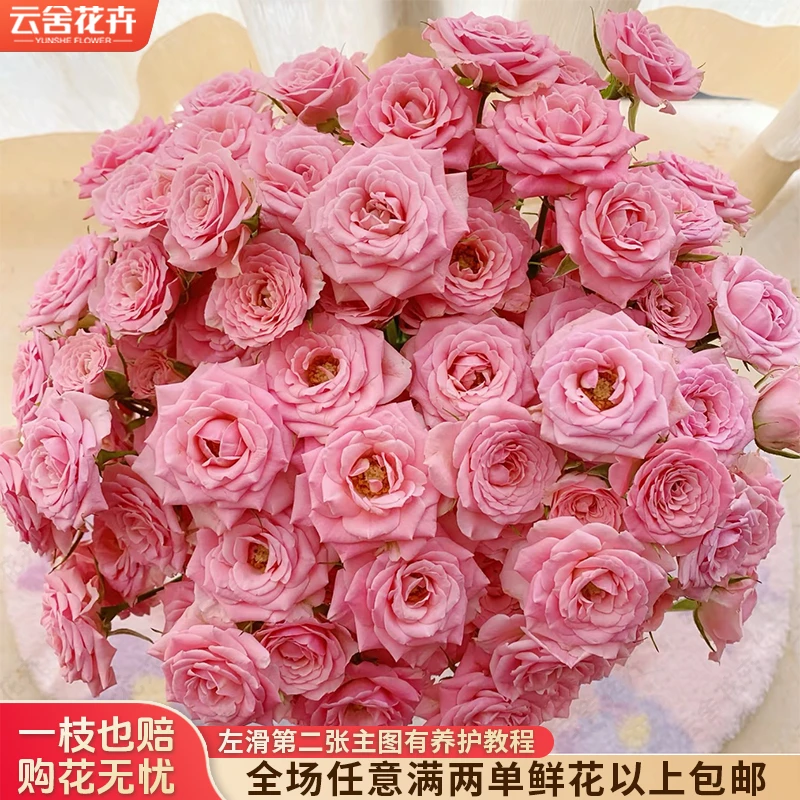 【云舍花卉】【温柔水晶】多头玫瑰 全场满两单及以上鲜花包邮发货