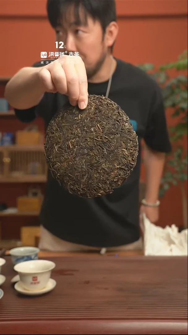 【闪购商品】23年头春野狼窝古树纯料饼茶357g