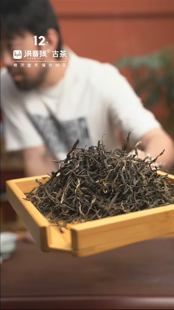 【闪购商品】23年春易武刮风寨古树纯料散茶50g/罐