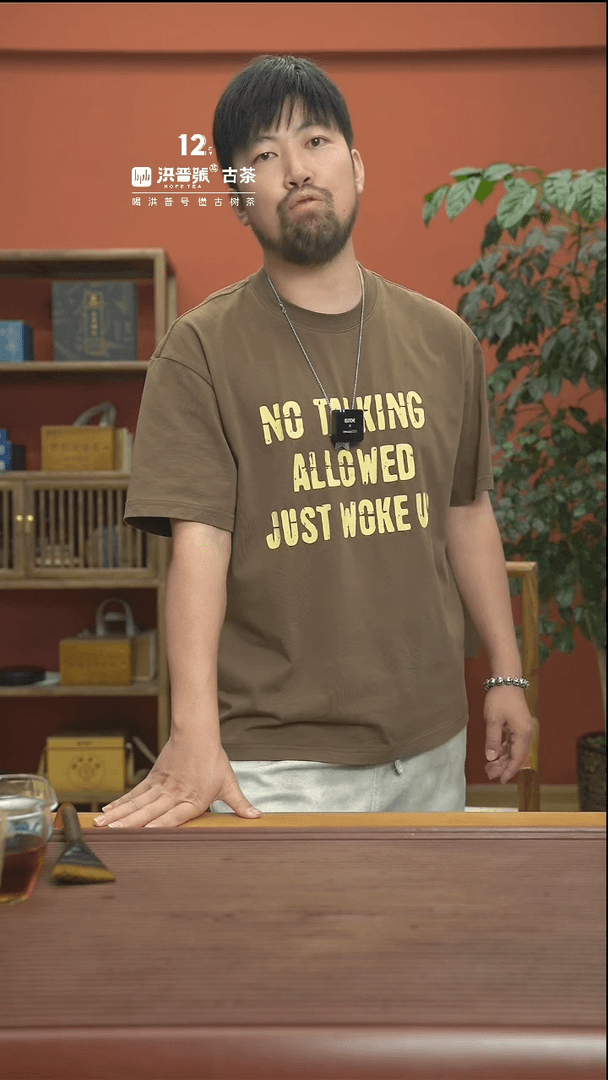 【闪购商品】23年头春薄荷塘三类熟茶饼200g/饼