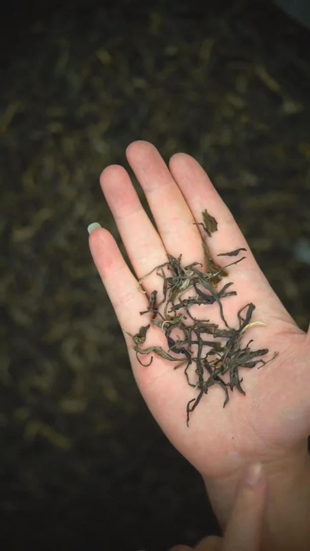 【闪购商品】2021头春【那卡】普洱生茶散茶100g