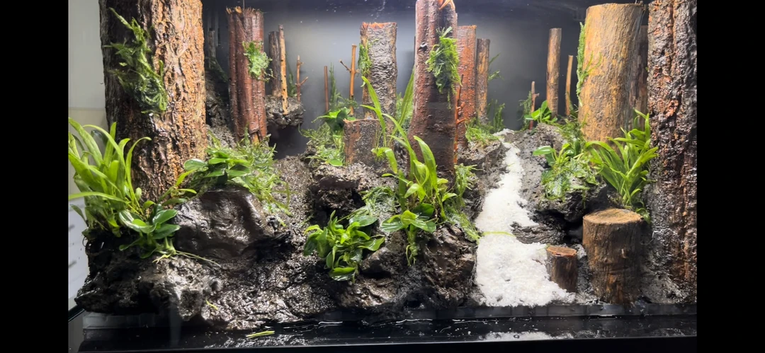 森木景观水草造景骨架专用链接