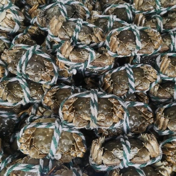 江苏鲜活大闸蟹3.5公蟹10只