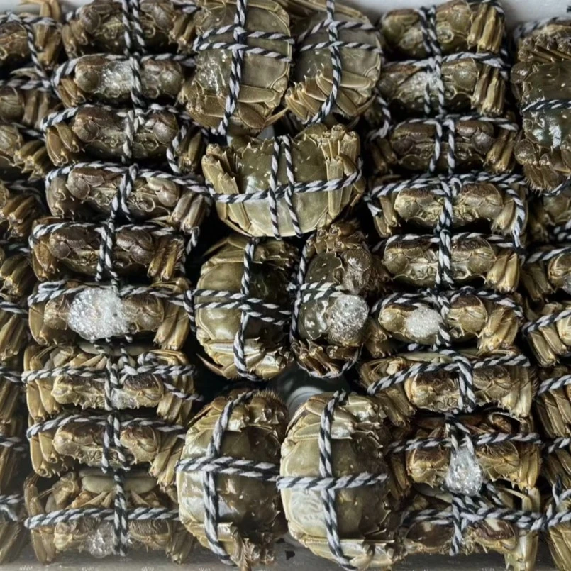 江苏大闸蟹鲜活生猛精品1.8两母蟹10只（一只净重1.8两左右）