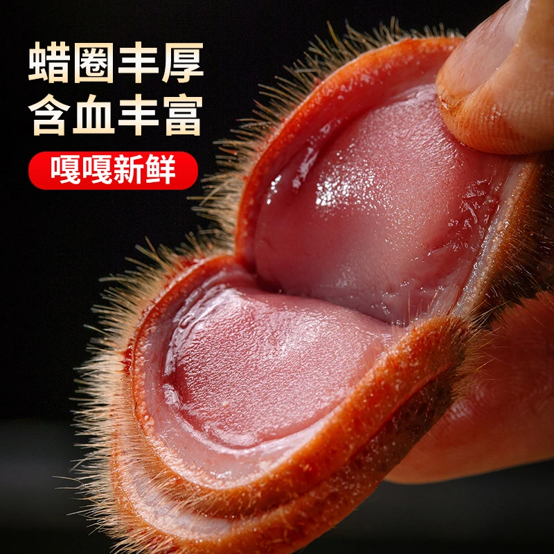 新鲜鹿茸吉林长白山产鹿茸片新鲜带血切片煲汤泡茶泡水泡酒料材