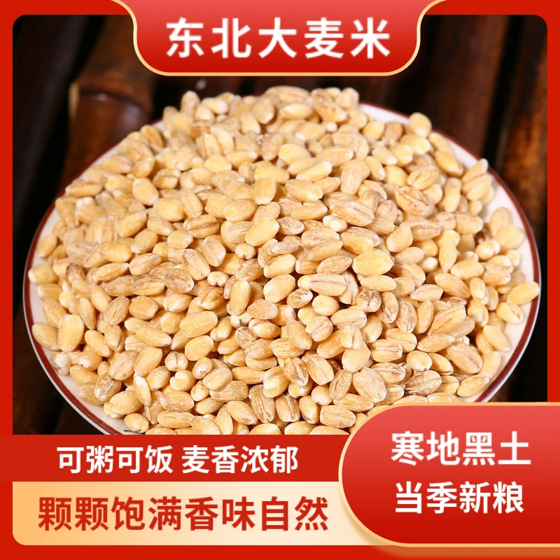 谷稻瑶东北大麦仁5斤精选大麦五谷杂粮大麦粒农家自产去皮大麦米