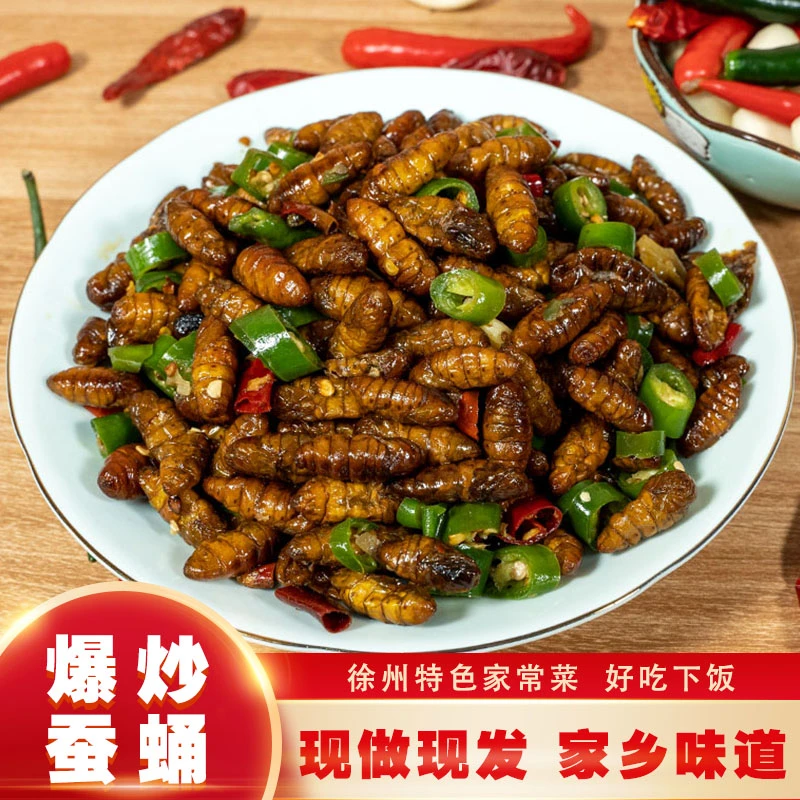 辣椒爆炒蚕蛹徐州邳州特产新鲜家乡菜美味老家菜下饭菜私房家常菜