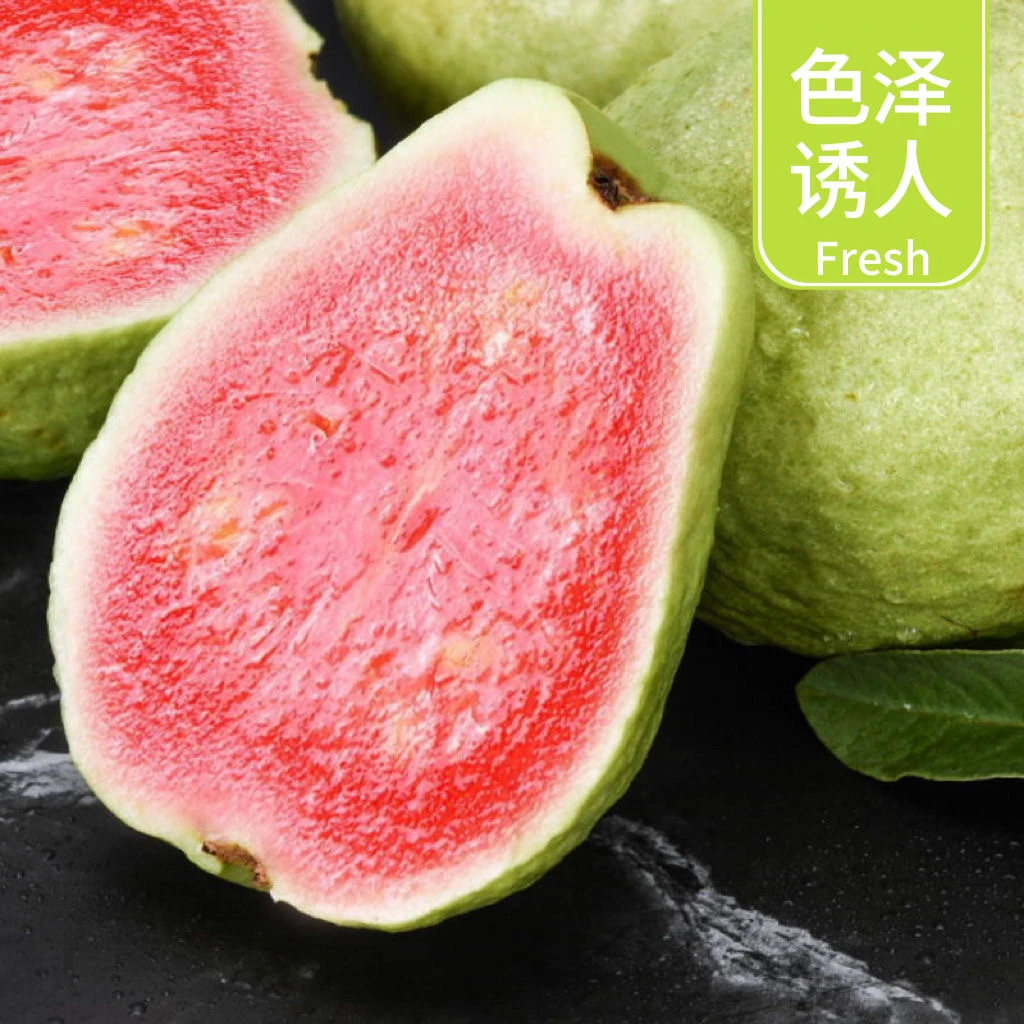 【软心芭乐大果】广西老树红心芭乐番石榴新鲜水果净重1/3/5斤包邮