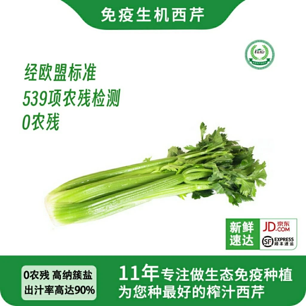 柏裕情比有机西芹更安全的免疫西芹0农残西芹（安疗榨汁专用）