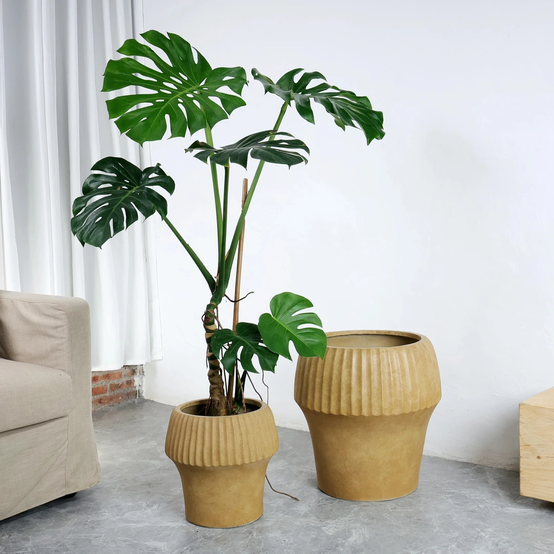 北欧简约镁泥花盆龟背竹绿植盆栽客厅室内桌面落地圆形花盆大号