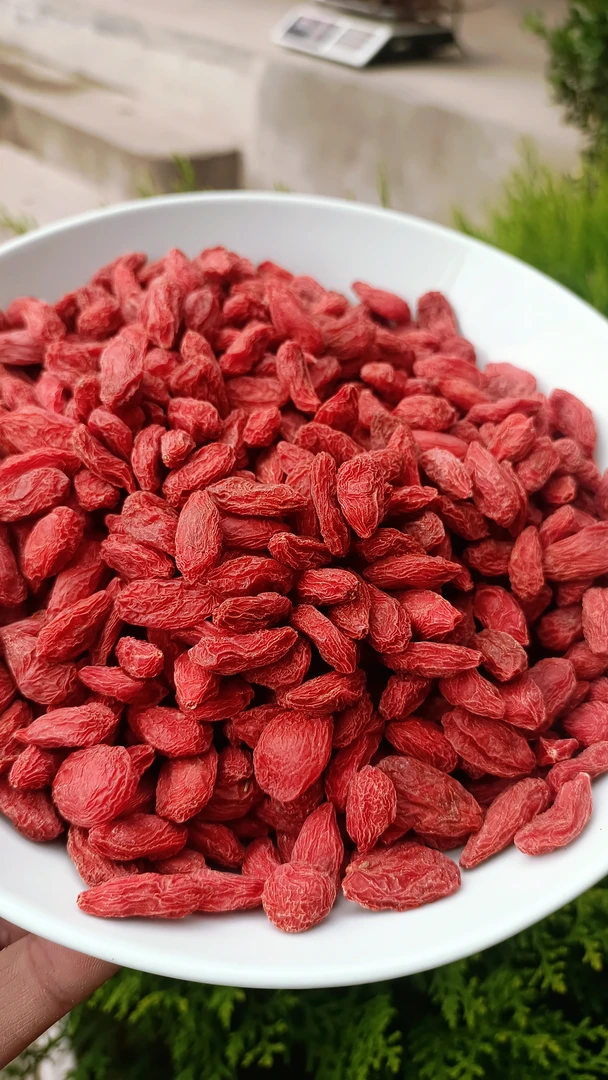 宁夏中卫枸杞，自然晾晒颗颗饱满。