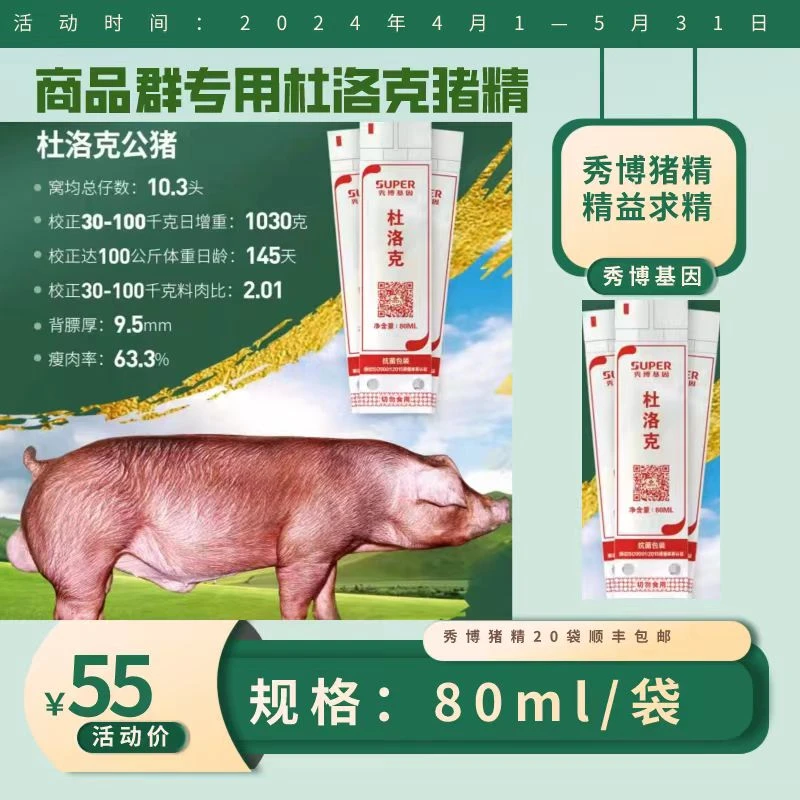 秀博80ml商品群杜洛克专用猪精  猪场母猪配种专用