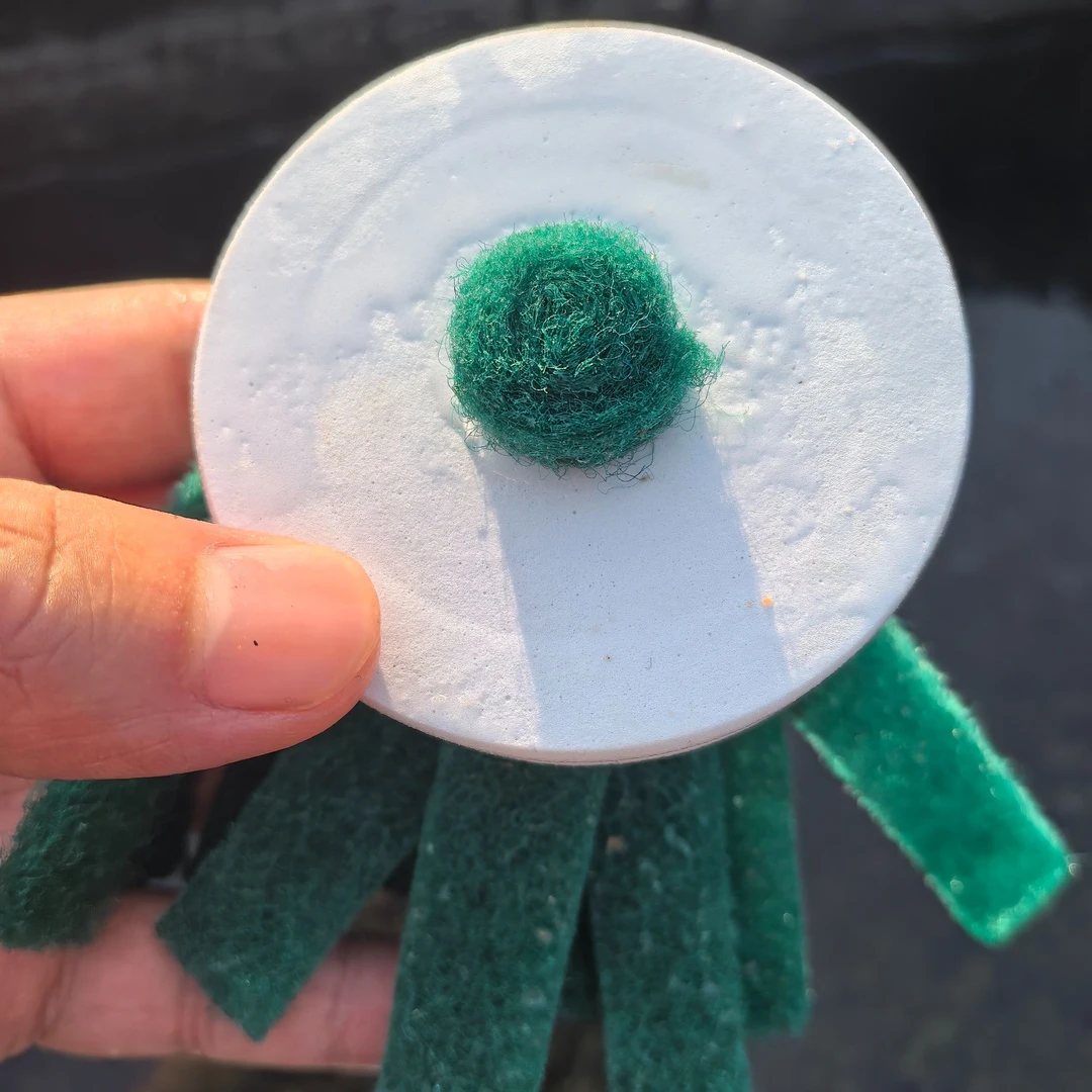 观背青鳉收卵器（大头外圈更稳定）