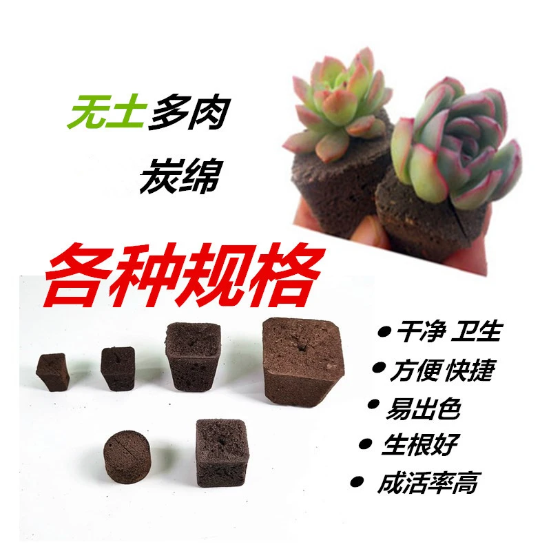 无土多肉栽培基质海绵控养育苗块种植专用绵营养土生物炭绵