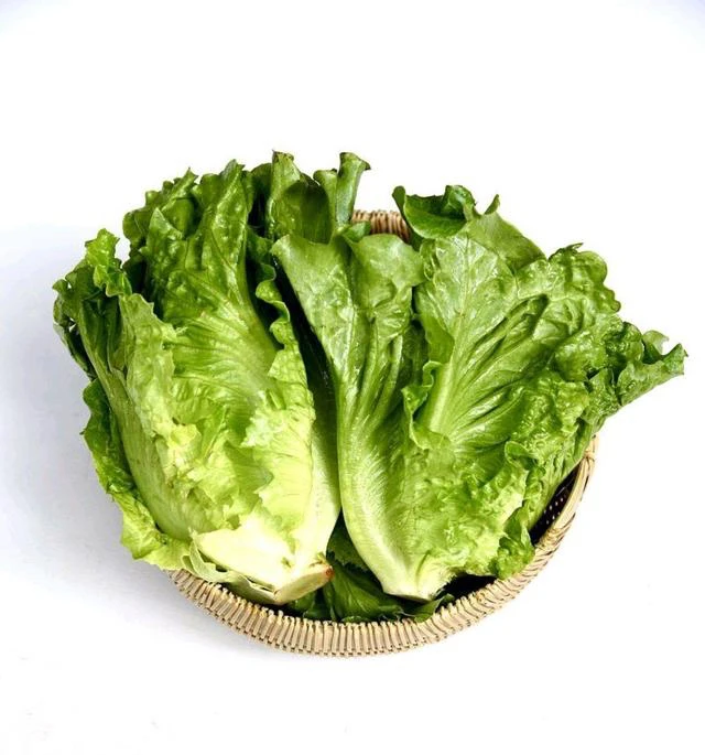 新鲜罗马生菜一份 约350g
