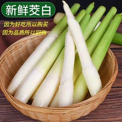 新鲜茭白   一份 约350g