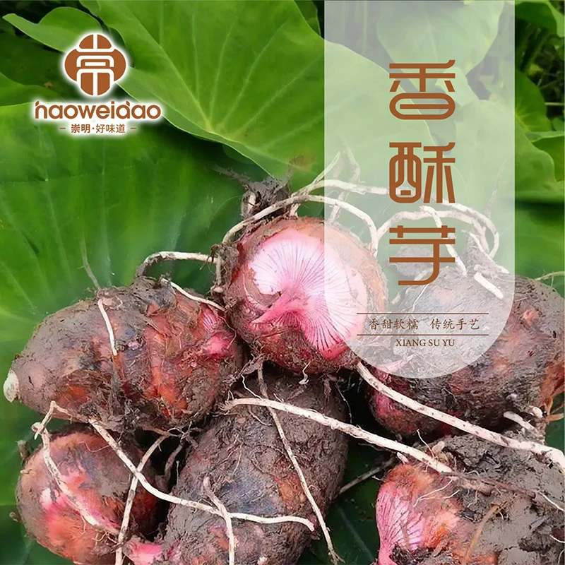 崇明好味道香酥芋3斤装 新鲜香味现挖现发口感软糯香甜