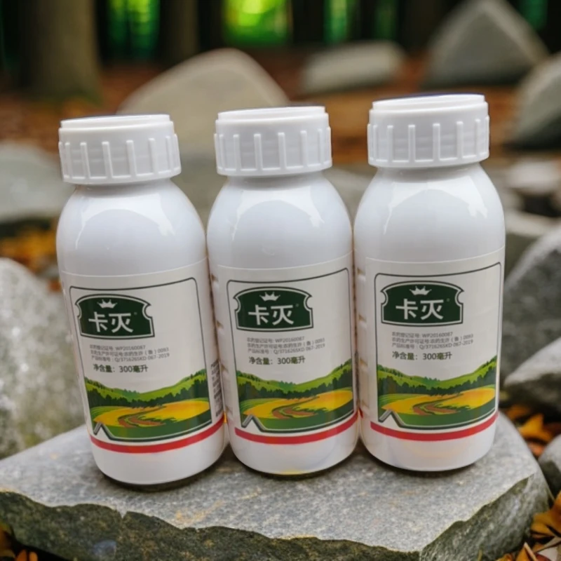 卡灭吡丙醚山东科大创业杀卵梨木虱蚜虫介壳虫