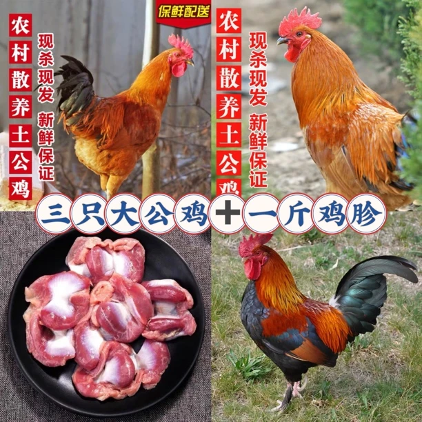 【三只大公鸡】➕一斤鸡胗