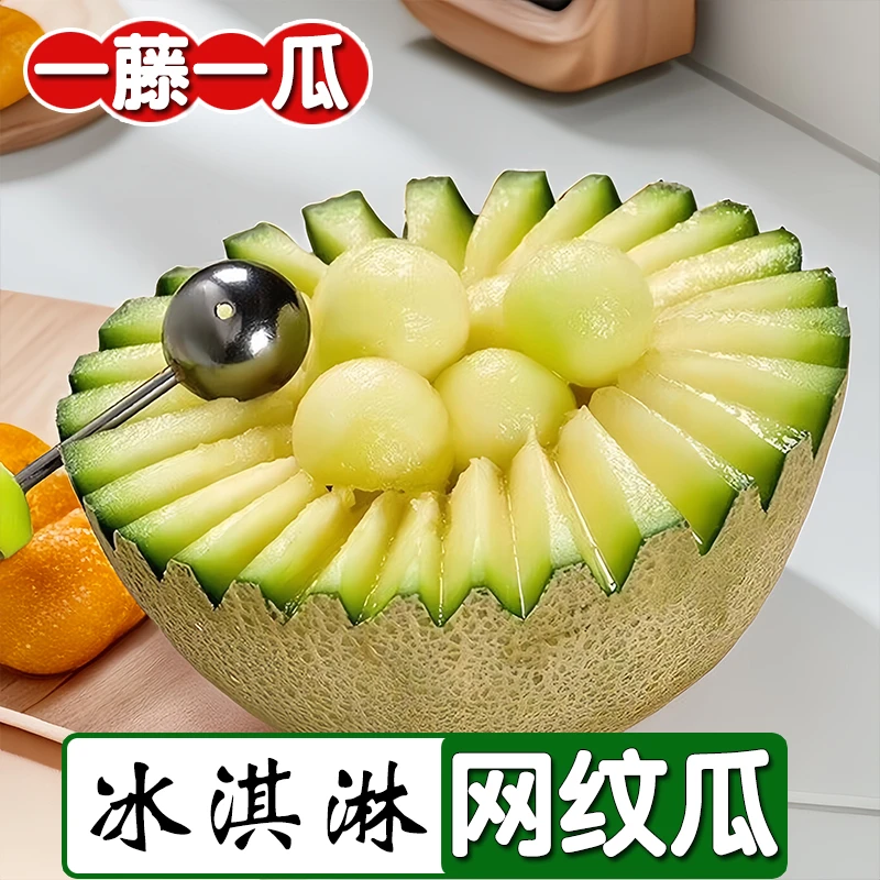 海南特产玫珑瓜网纹蜜瓜新鲜水果礼盒正宗哈密瓜网纹瓜冰淇淋甜瓜