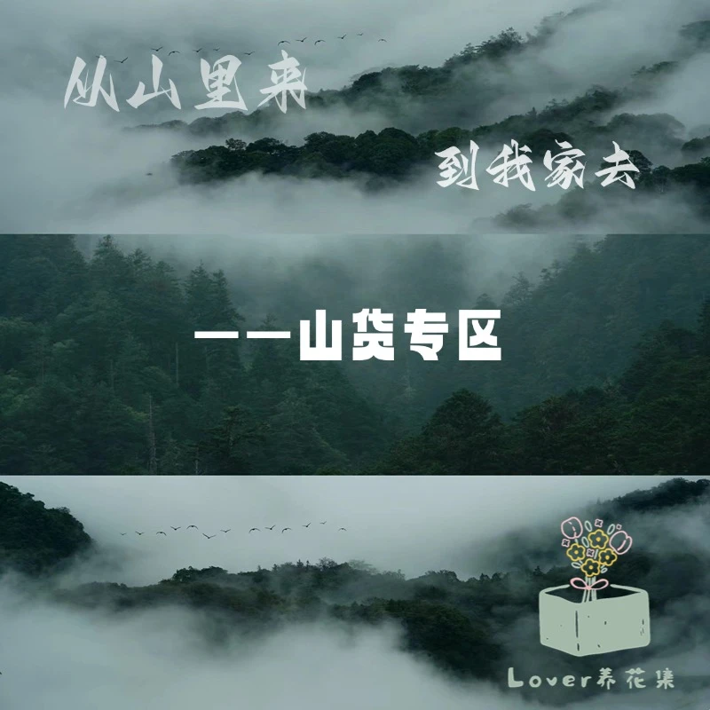 小众果实类叶类山货鲜切花专区