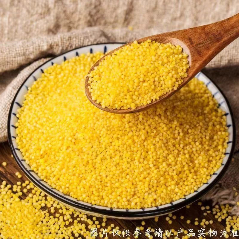 黄小米5斤新小米煮粥煮饭