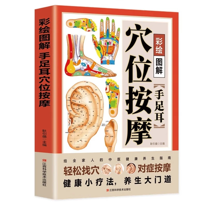 彩绘图解 手足耳穴位按摩经络穴位 按摩打通经络找对穴位消百病