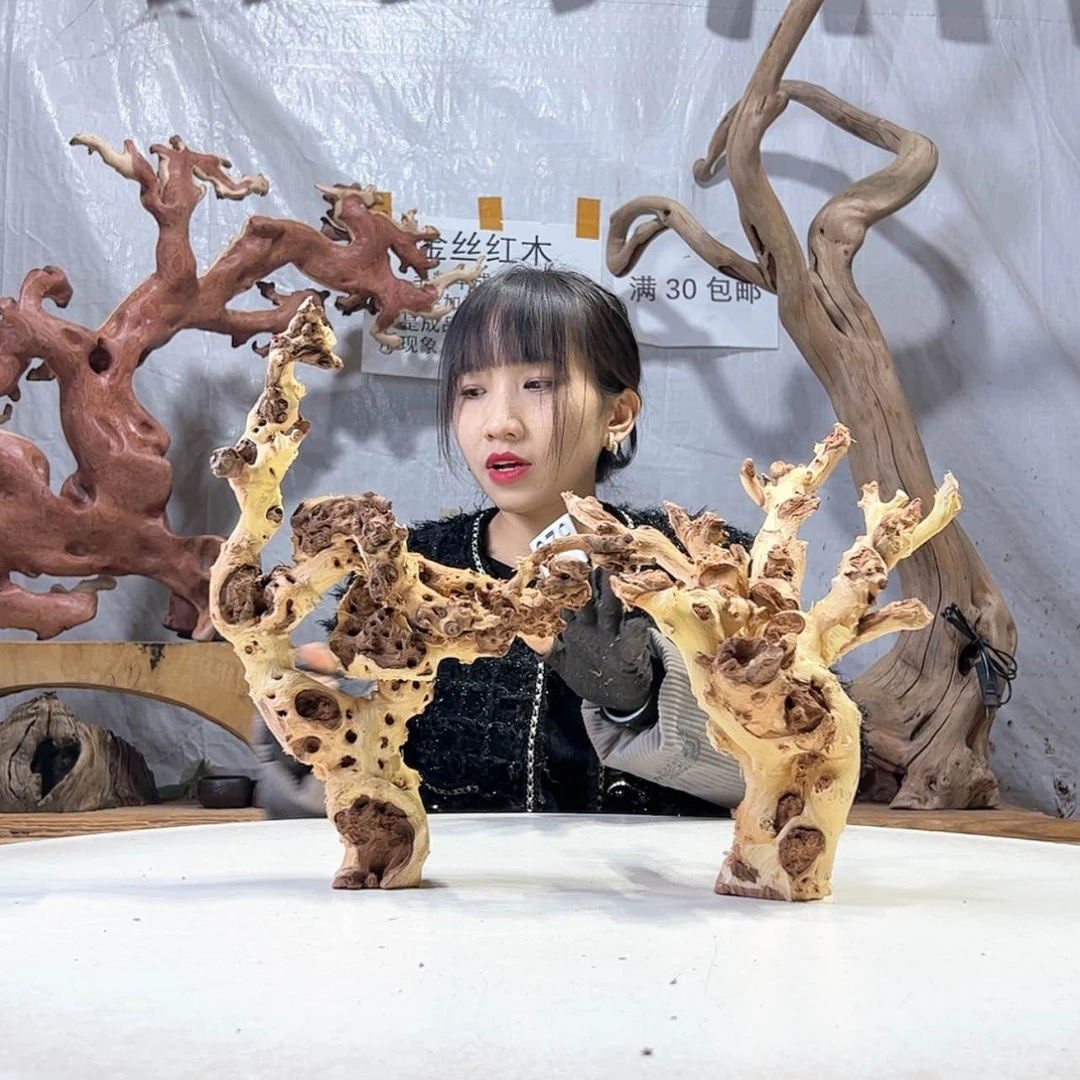 【闪购商品】黑果木阿*979