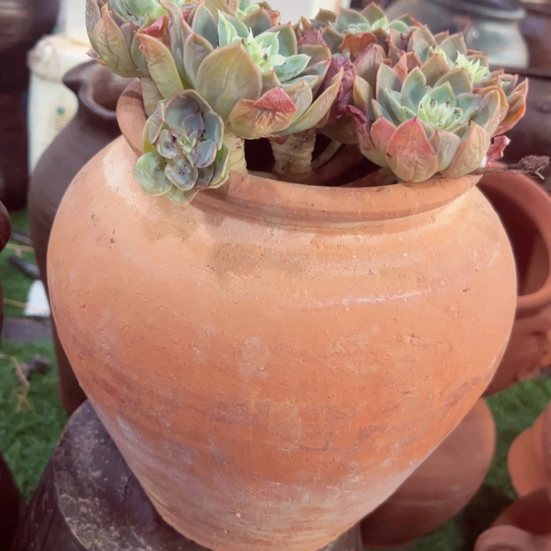 红陶20CM（含）-50CM（不含）301号20×15红