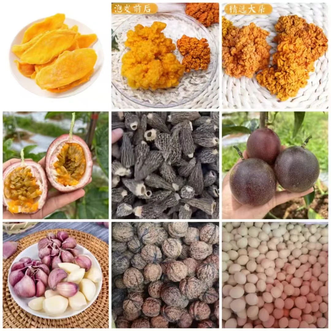 云南土特产直播临时链接临时链接菇