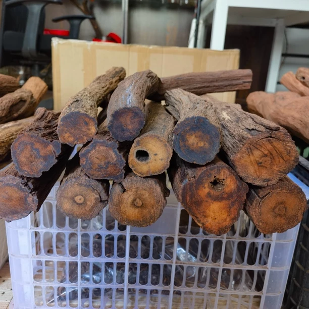 降真香精品小手把件/藕片料/黄金料/熏香手工料任意一种10克装