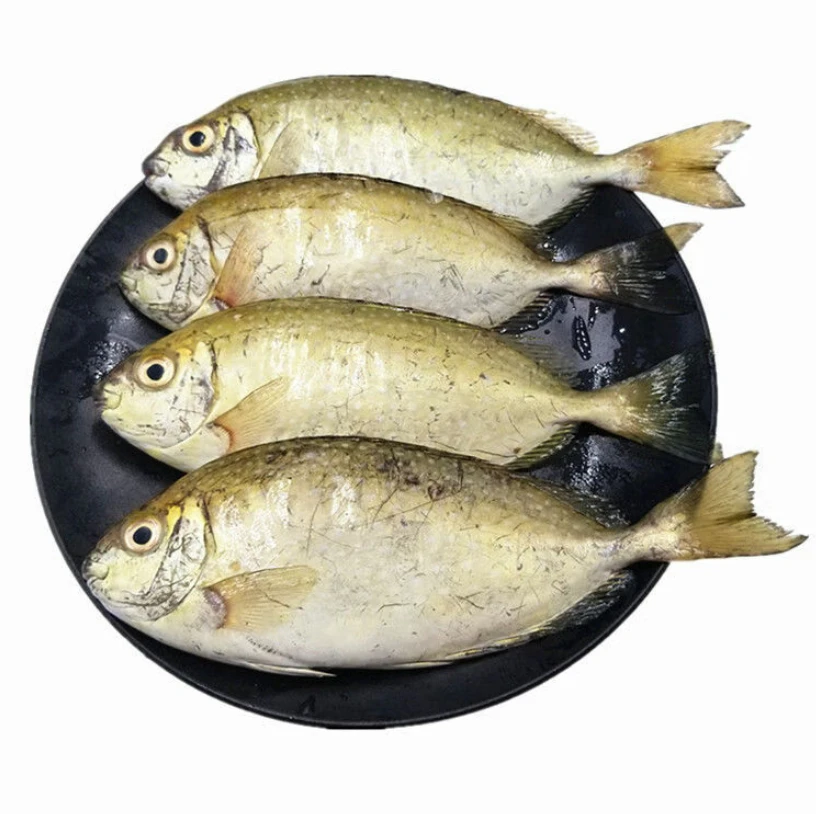 泥猛鱼 约500g （默认宰杀）