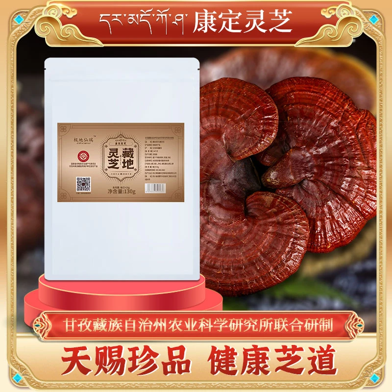 甘孜州仿野生康定白肉灵芝干货藏灵芝泡水康定高海拔白心灵芝130g