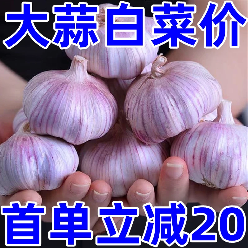 【超低价】大蒜头批发干蒜白色微紫大蒜头干蒜大新鲜大蒜批发包邮