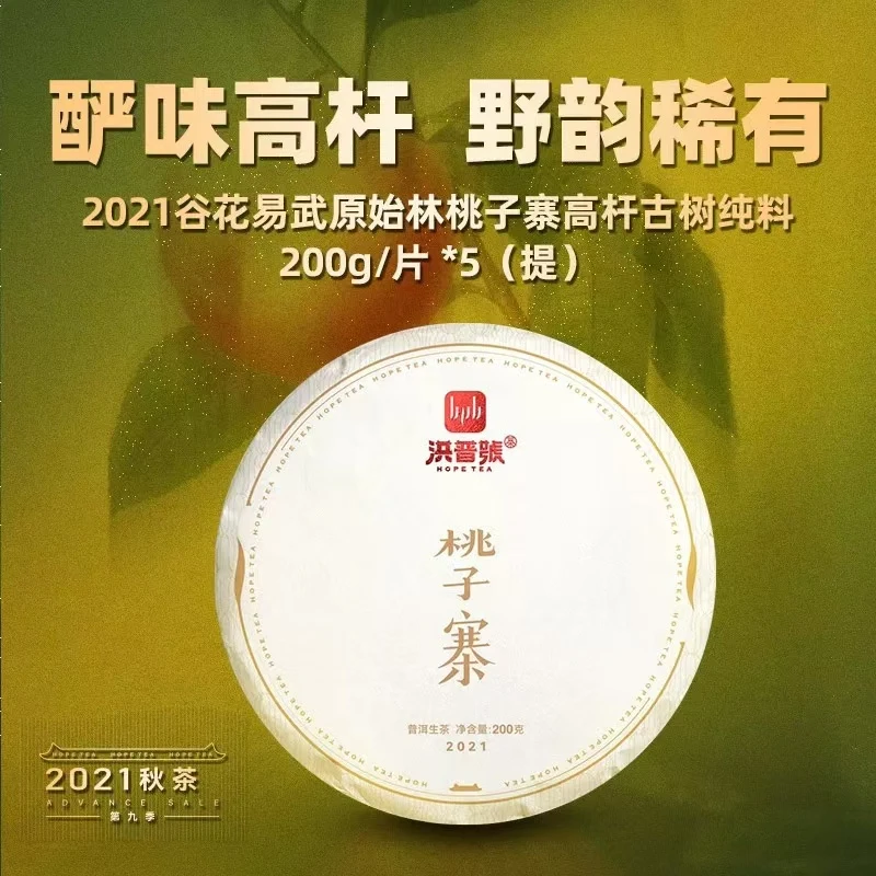 2021秋茶桃子寨古树高杆纯料茶云南普洱茶生茶