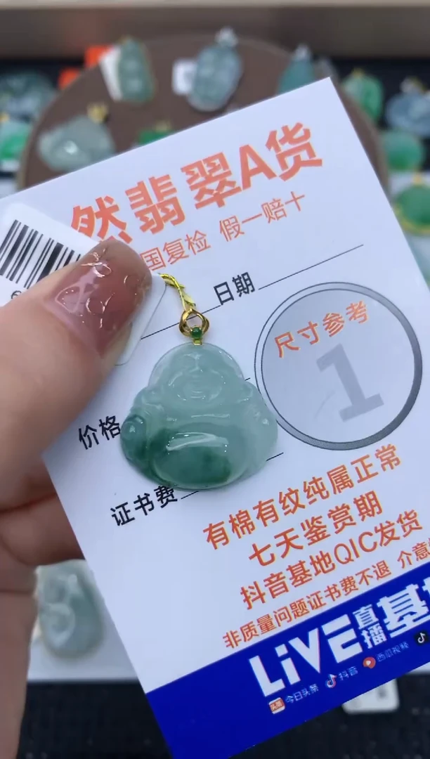 【闪购商品】翡翠颈饰18K金镶嵌111111111