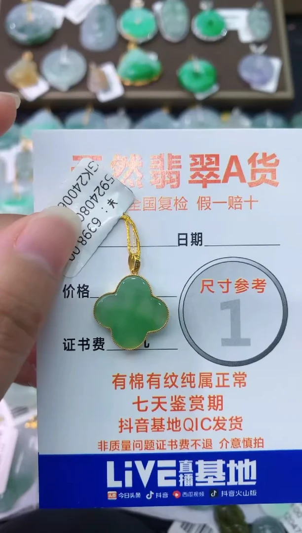【闪购商品】翡翠颈饰18K金镶嵌11111111111