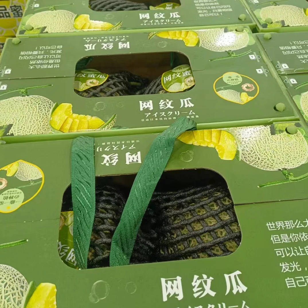 【年货节】网纹瓜2粒礼盒净重4-4.2斤 包邮