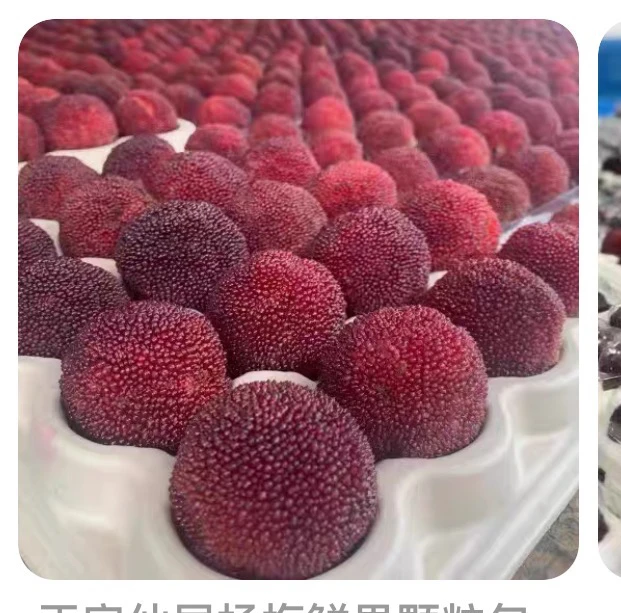 正宗仙居东魁新鲜杨梅鲜果当季孕水果新鲜采摘颗粒包装仙居杨梅