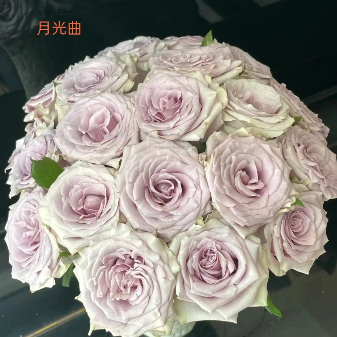 【单头玫瑰】月光曲20支+丝路花雨20枝（20%损耗范围不售后介意勿拍）
