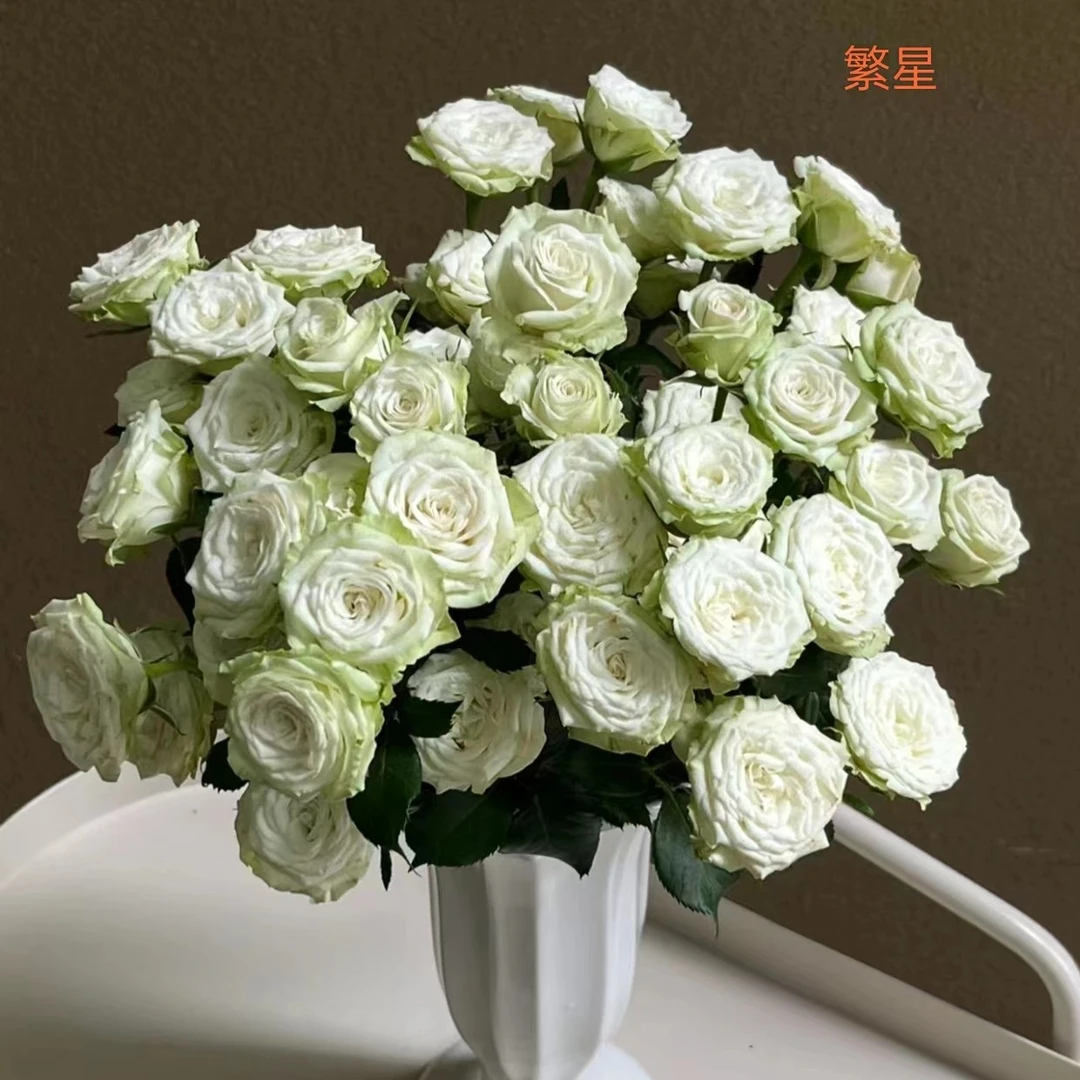 【多头玫瑰】繁星30支（20%耗损不售后介意勿拍）