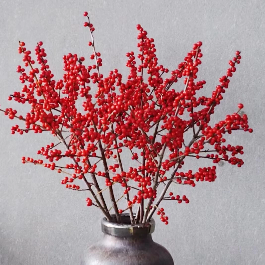 【送吊牌】冬季花材冬青节日氛围感喜庆年宵花（少量掉果不售后）