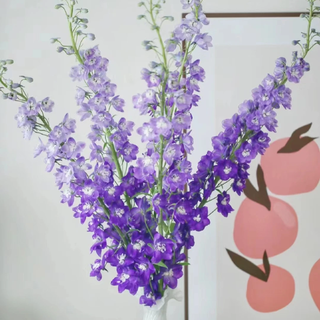 【草花】大飞燕2扎（20%损耗不售后，介意勿拍）