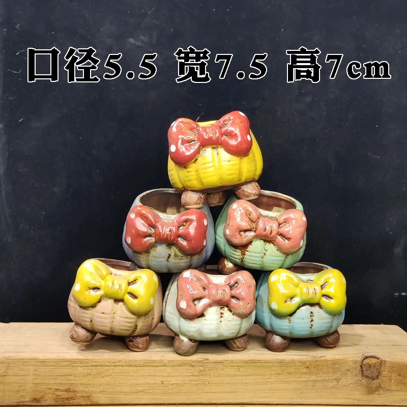 蝴蝶结小花盆小桩多肉植物花盆口径很小