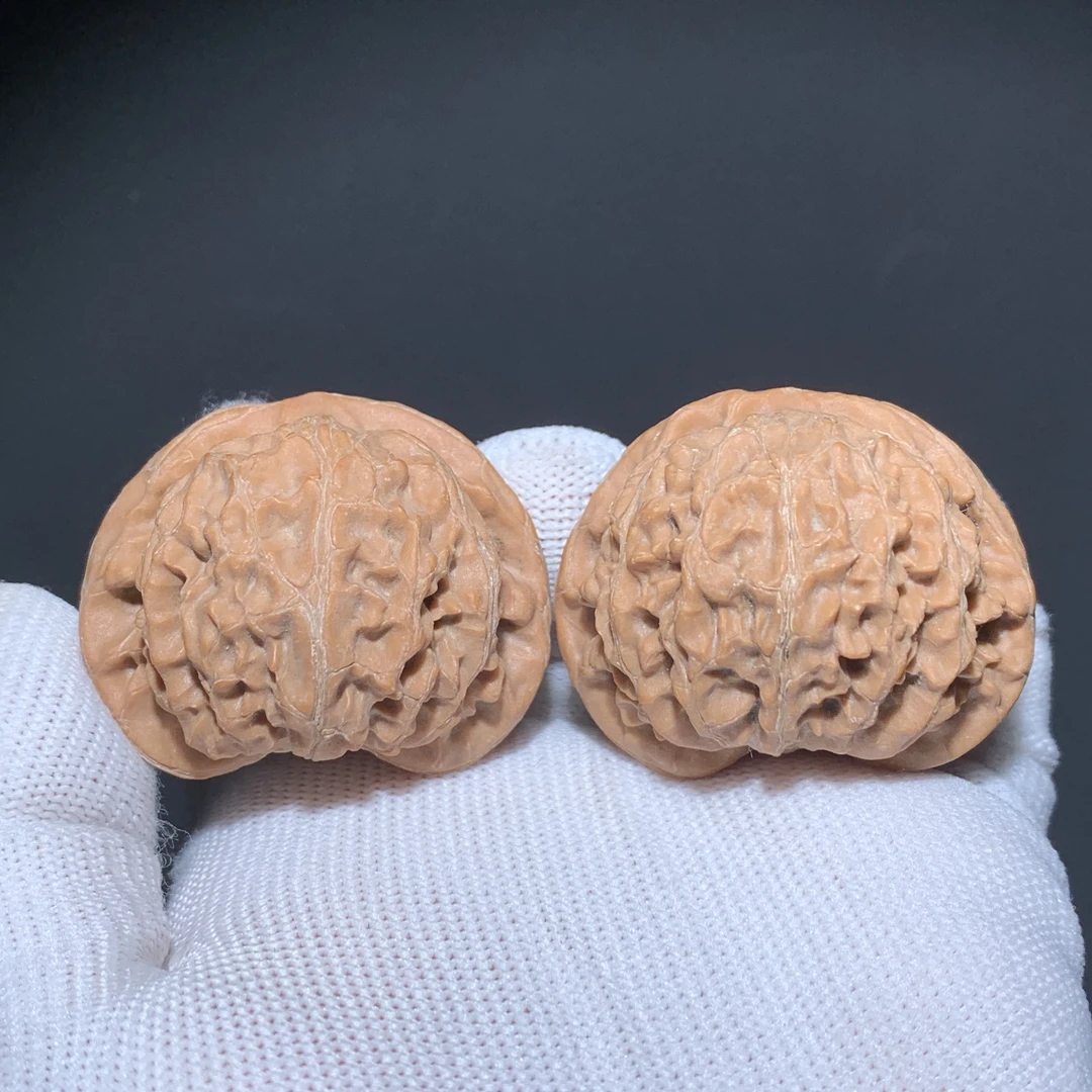 宫灯麻核桃（深清x）好