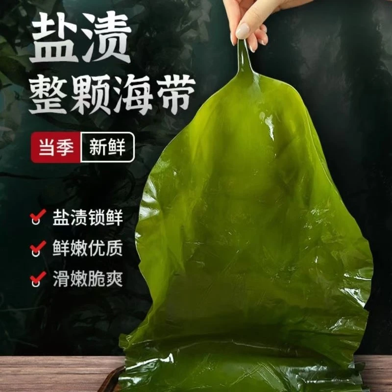 盐渍海带含箱5斤新鲜整颗大连特产当季新菜凉拌饱饭炖煮海藻菜