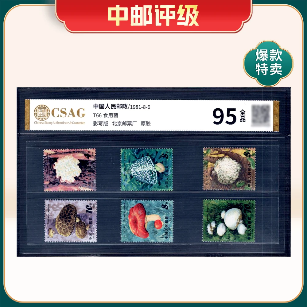 T66食用菌邮票 中邮评级95分