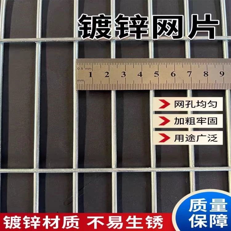 镀锌钢筋铁丝电焊网片建筑鸟笼网格养殖铁丝网防护钢丝围栏批发